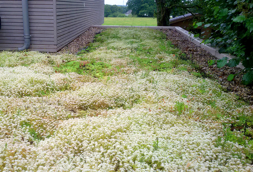 onglert references EVTM