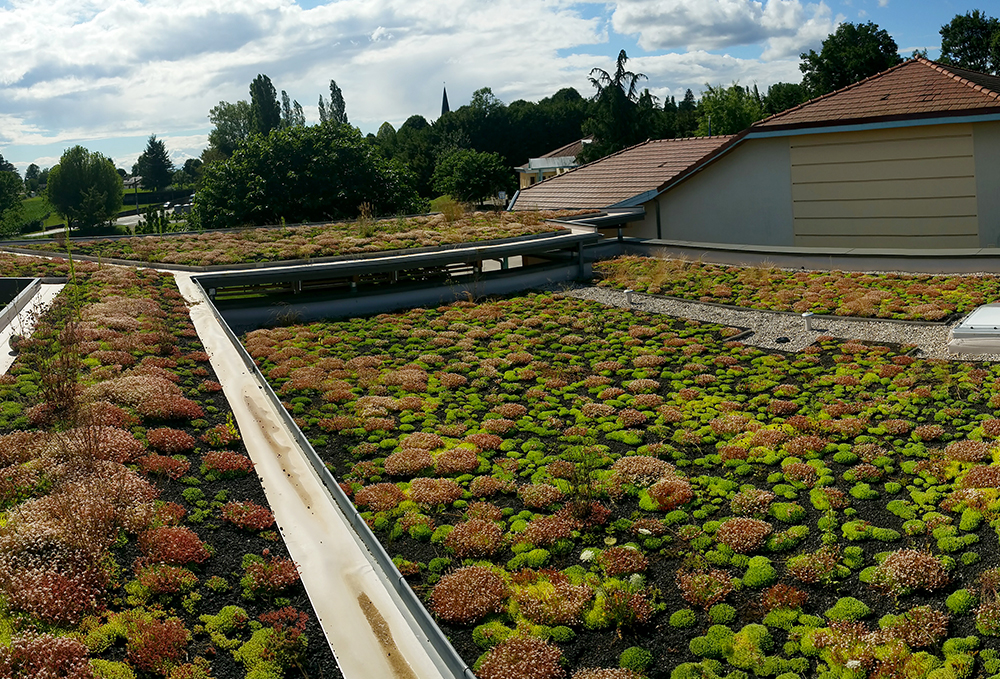 toiture-grand-angle-2