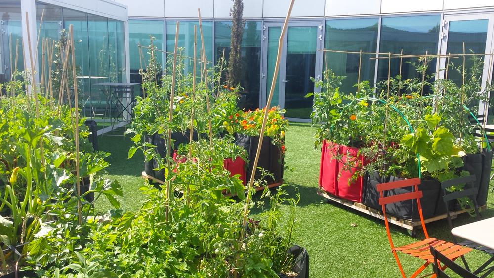 Photo-Ma-Ville-Verte-Reference