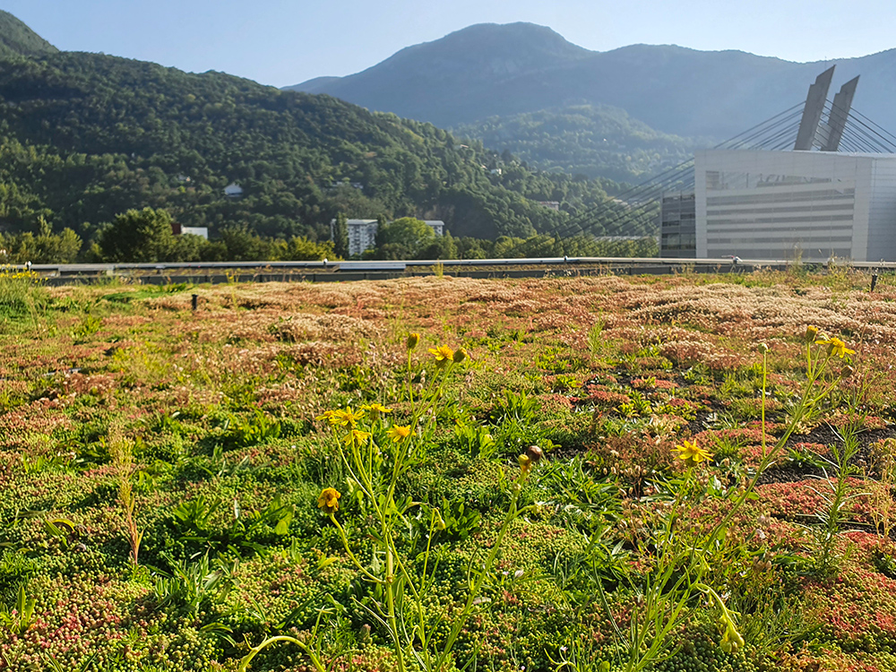 reference-client-alto-primevere-paysagisme