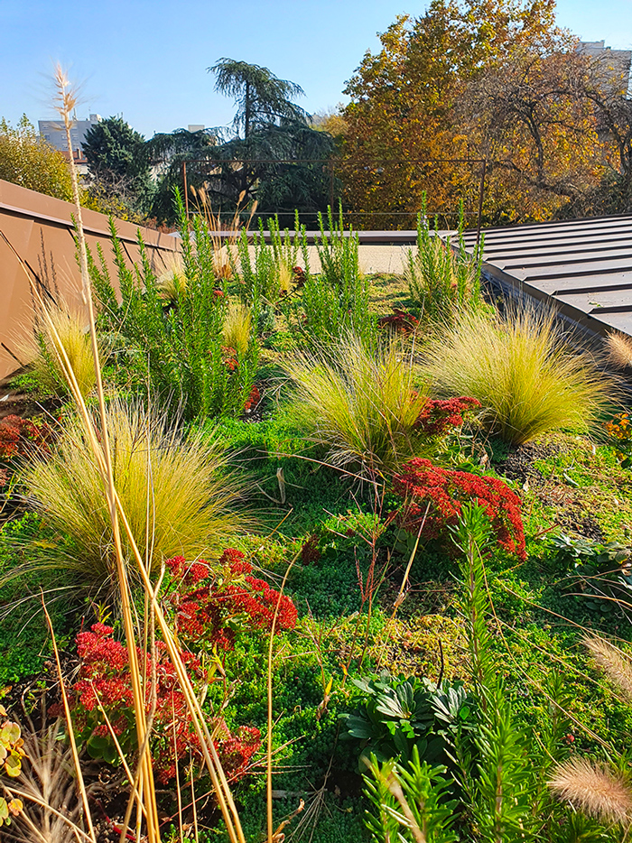 reference-client-dazy-etanchetite-primevere-paysagisme