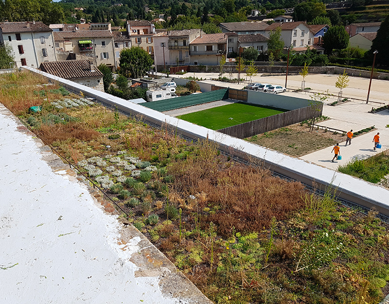 primevere-paysagisme-alpha-services